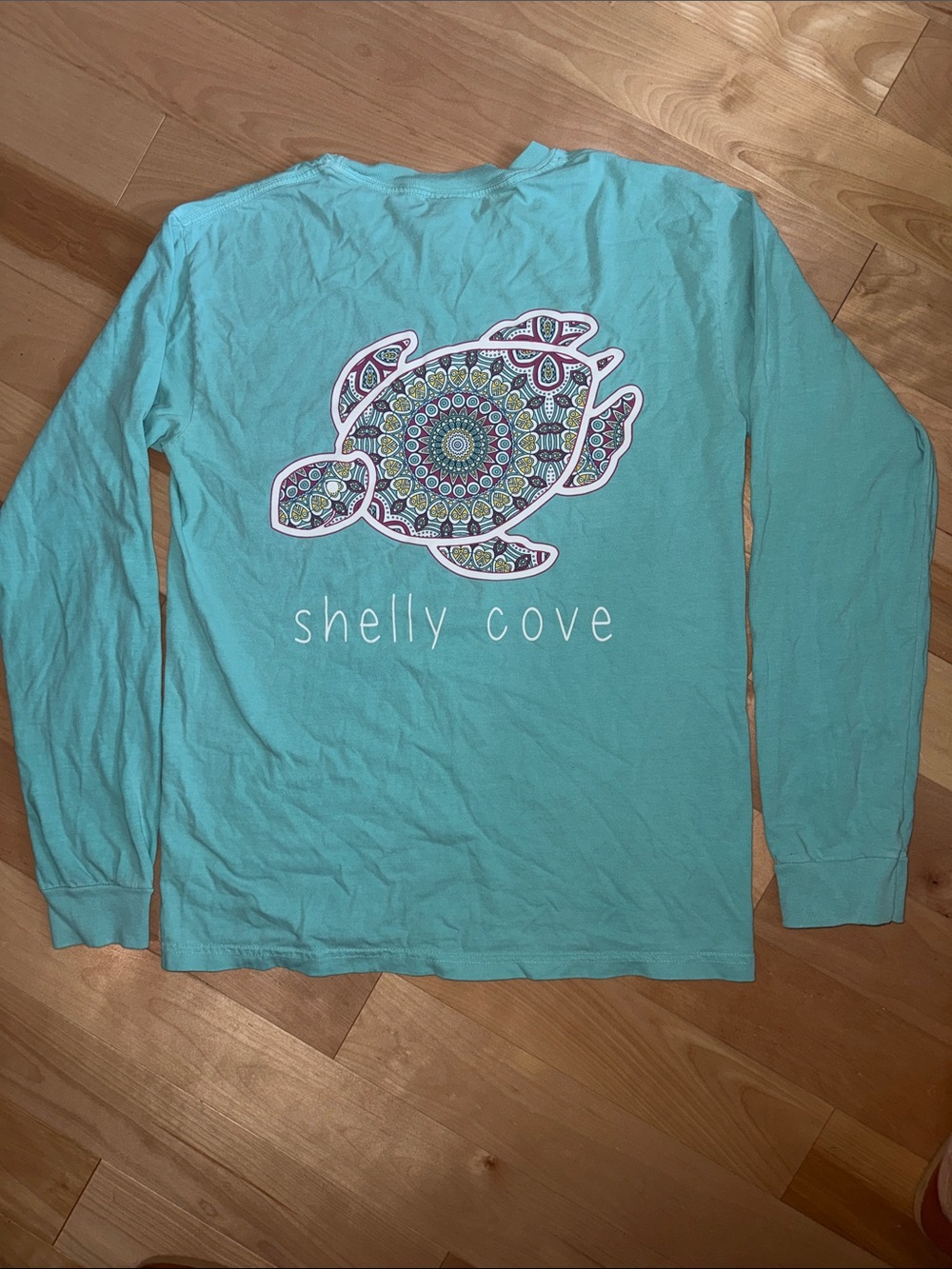 Shelly Cove Sea Turtle Long Sleeve Tee - Aqua